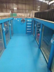 container house collections